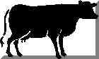 wpe7.jpg (2597 byte)