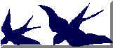 passeri.wmf (2078 byte)