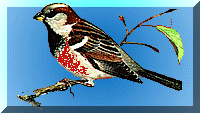 pettir~1.gif (12257 byte)