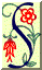 s.gif (1311 byte)