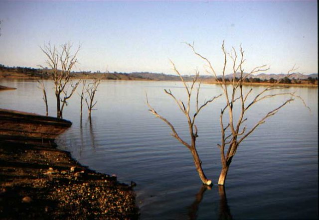 australia_001e.jpg