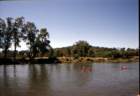 australia_001i_small.jpg