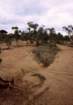 australia_001m_small.jpg