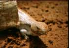 australia_04_small.jpg