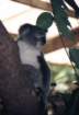 australia_101_small.jpg