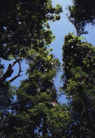 australia_104.jpg