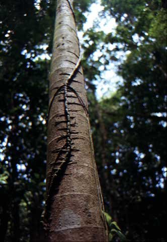 australia_117.jpg