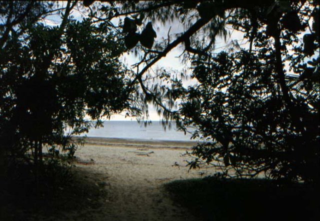 australia_119.jpg