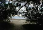 australia_119_small.jpg