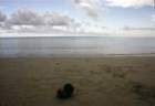 australia_122_small.jpg