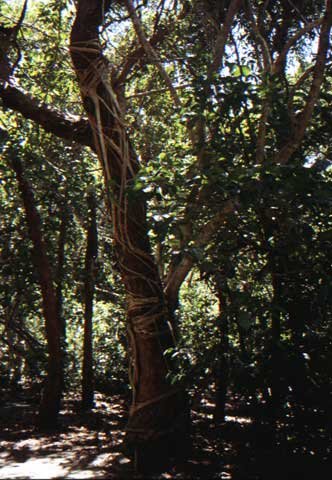 australia_135.jpg