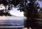 australia_137_small.jpg
