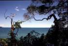 australia_138_small.jpg