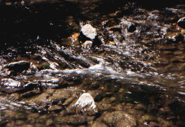 australia_140.jpg