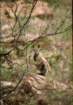 australia_16_small.jpg