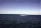 australia_209_small.jpg