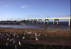 australia_211_small.jpg