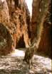 australia_21_small.jpg