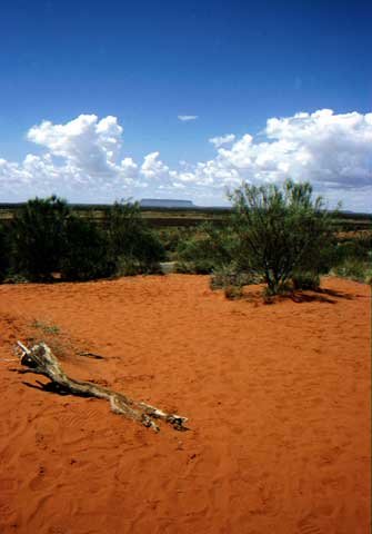 australia_29.jpg