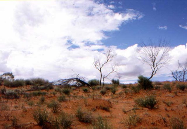 australia_44.jpg