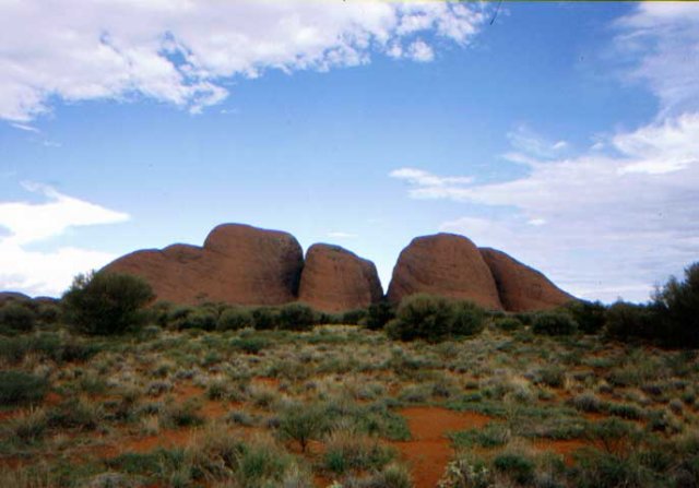 australia_48.jpg