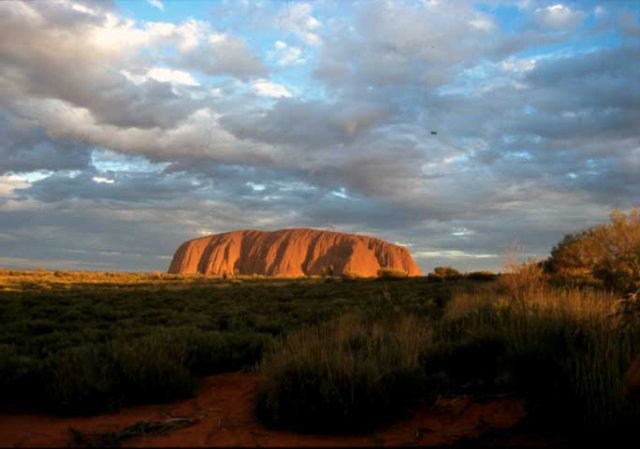 australia_51.jpg