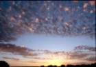 australia_55_small.jpg