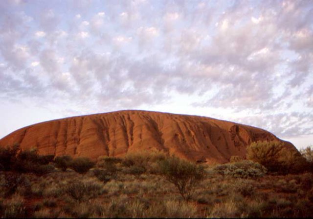 australia_56.jpg