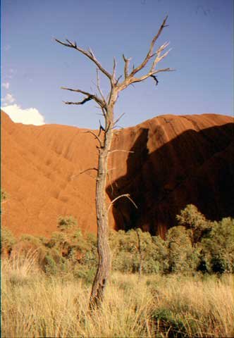 australia_61.jpg