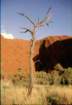 australia_61_small.jpg