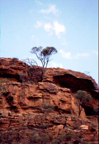 australia_76.jpg
