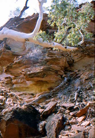 australia_80.jpg