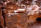 australia_81_small.jpg