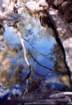 australia_85_small.jpg