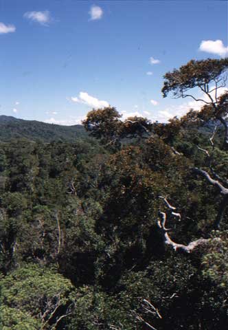australia_93.jpg