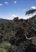 australia_93_small.jpg