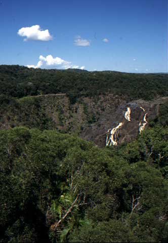 australia_94.jpg