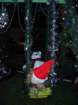 dscn0356_small.jpg