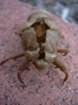 dscn0397_small.jpg