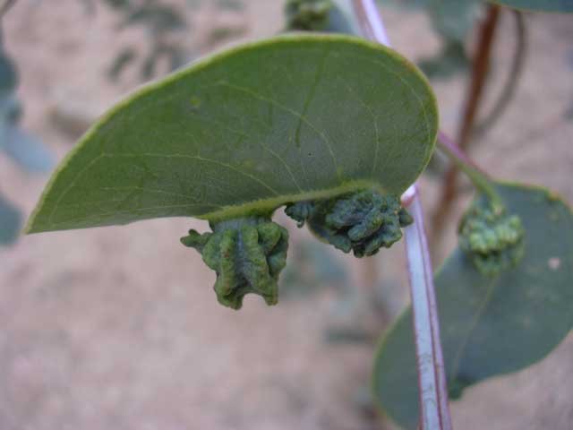 dscn0401.jpg