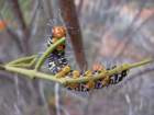 dscn0403_small.jpg