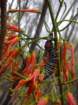 dscn0404_small.jpg