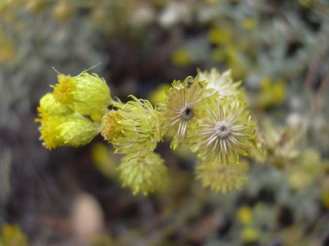dscn0406.jpg