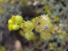 dscn0406_small.jpg