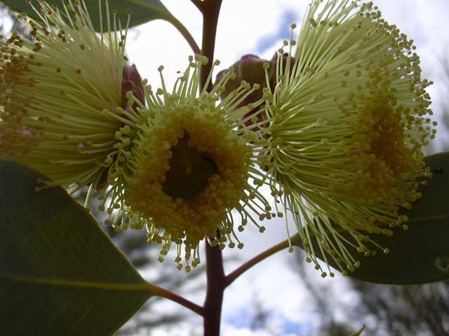dscn0407.jpg