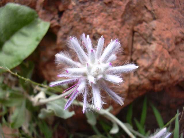 dscn0409.jpg