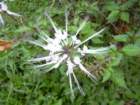 dscn0425_small.jpg