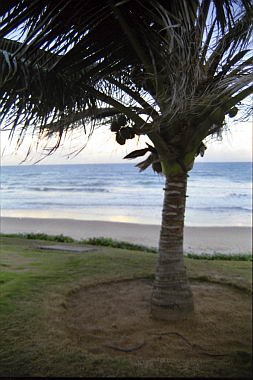brasile0007.jpg