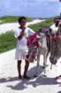 brasile0026_small.jpg