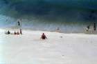 brasile0031_small.jpg